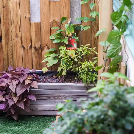 Appartamento L'alcove Romaine *